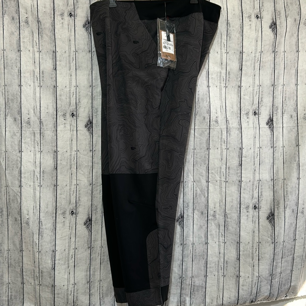 The North face pants